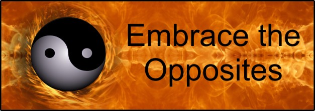 Embrace The Opposites