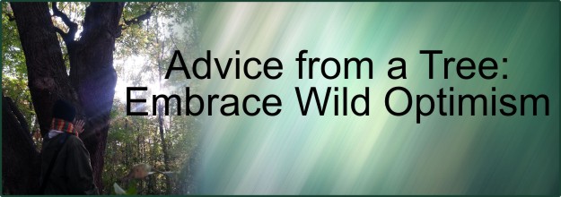 Wild Optimism