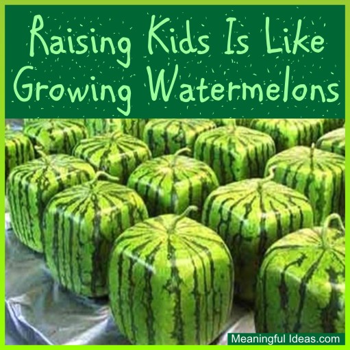 Raising Kids Is Like Growing Watermelons