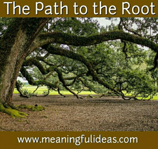 The Path to the Root