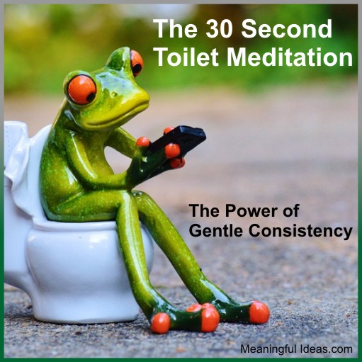 The 30 Second Toilet Meditation