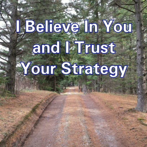 I Believe In You and I Trust Your Strategy