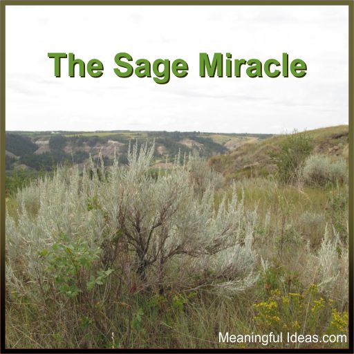 The Sage Miracle
