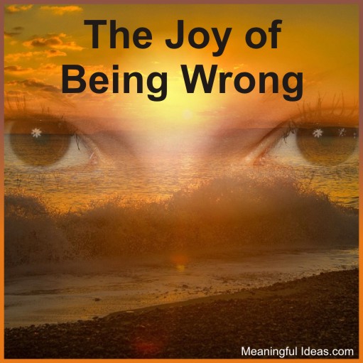 The Joy of Being Wrong