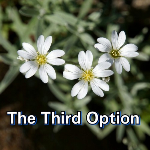 The Third Option